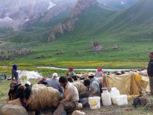 Çözüm Süreci Hakkari Yöresine Hayat Veriyor