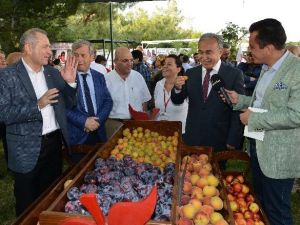 Adana’da Meyve Bayramı