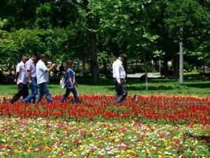 Konya Büyükşehir Şehri Güllerle Donattı