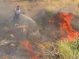 Bodrum’da Örtü Yangını Zeytinlere Sıçramadan Söndürüldü