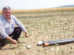 Dolu Yağışının Ardından Hasar Tespiti Yapılıyor