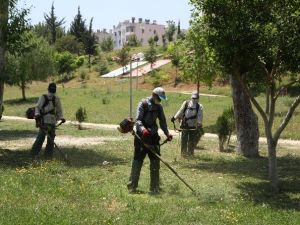 Toroslar’da Park Ve Yeşil Alanların Bakım Çalışmaları Hızlandı