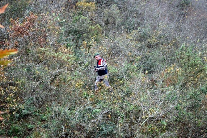 Tekirdağ’da 40 Kök Hint Keneviri İmha Edildi