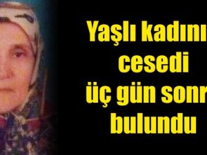 Yaşlı kadının cesedi üç gün sonra bulundu