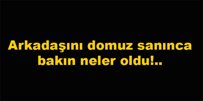 Domuz sandığı arkadaşını vurdu