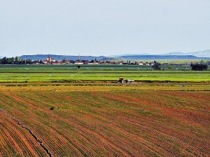 MİRASÇILARIN DİKKATİNE