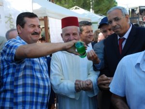 2. Uluslararası Didim Zeytin Festivali başladı