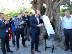 Didim’de zeytin yağı işlikleri tarihsel olarak ele alındı