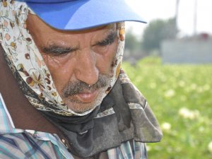 Ekmek parası sıcak dinlemiyor