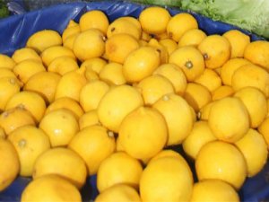 5 kilo karpuz fiyatına 1 limon