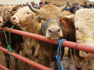 İstanbul’da Kurban Bayramı için önlemler alındı