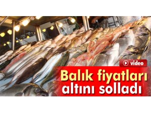 Balık fiyatları altını solladı