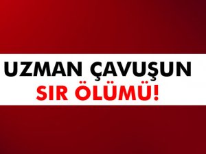 Uzman çavuş fındık bahçesinde ölü bulundu