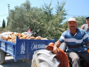 “Ekmeği İsraf Etmeden Yemesini Öğrenemedik”