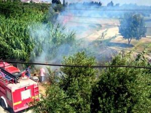 Söke’de sazlıkta çıkan yangın büyümeden söndürüldü