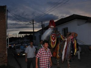 Böyle olur devecinin 'gelin arabası'