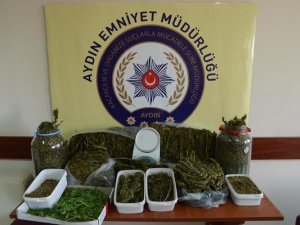 Aydın’da uyuşturucu satıcılarına büyük darbe