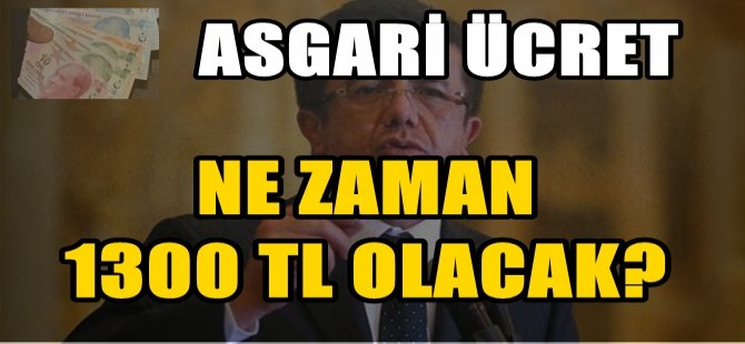 Nihat Zeybekçi'den 1300 TL açıklaması