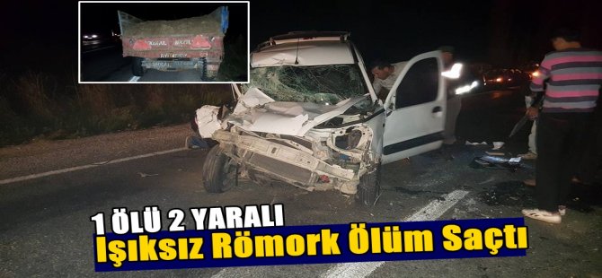 Bozdoğan'da Trafik Kazası