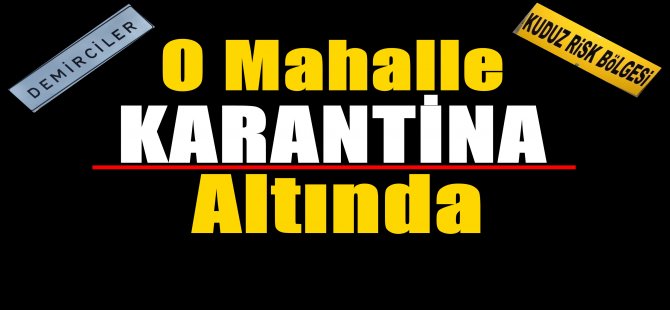 Demirciler'e Kuduz Karantinası