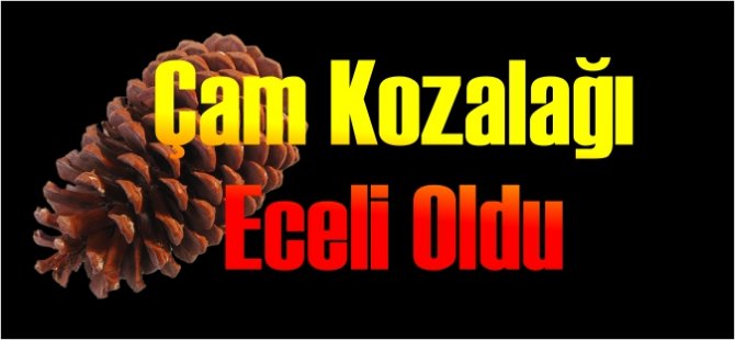 Çam Kozalağı Eceli Oldu