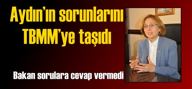 Aydın'ın sorunları yanıtsız kaldı