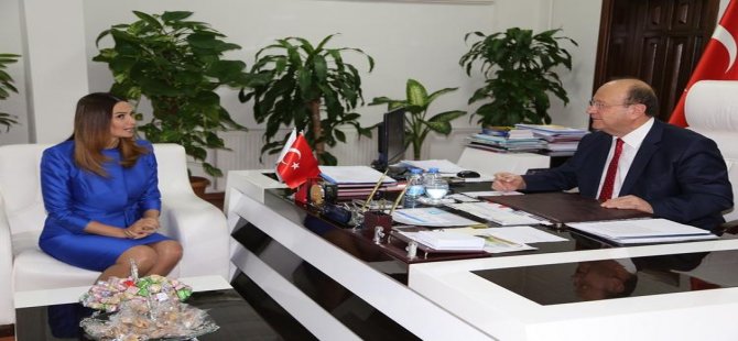 Azerbeycan Milletvekili Aydın'a geldi