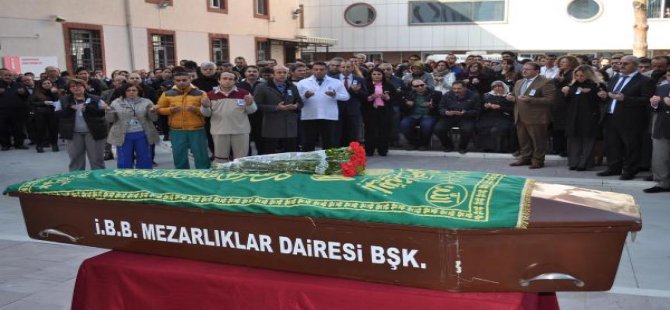 Aydınlı doktor kaza kurbanı
