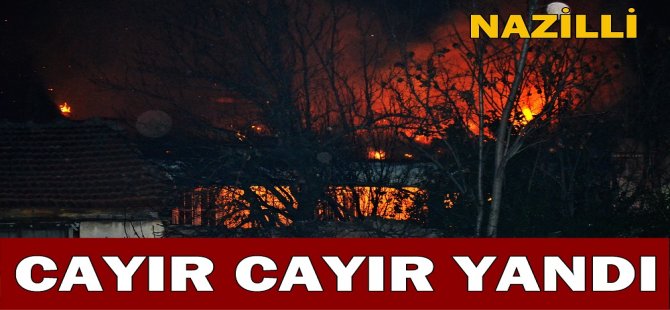 Kül oldu !!!