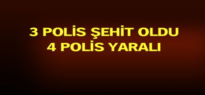 Şırnak'ta polise hain saldırı