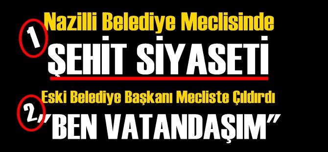 Bir garip meclis