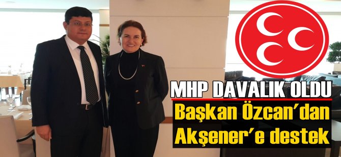 MHP'li Özcan'dan Akşener'e tam destek