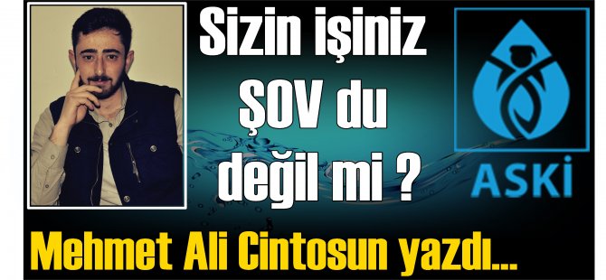 Sizin işinizi ŞOV du değil mi?