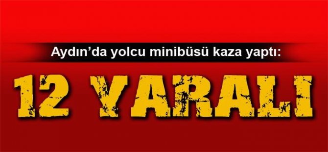 Yolcu minibüsü kaza yaptı: 12 yaralı