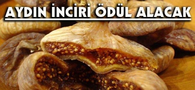 'Aydın İnciri' Coğrafi İşaret ödülü alacak