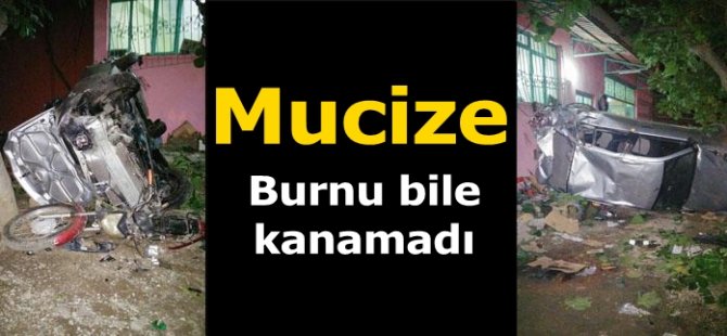 Burnu bile kanamadı