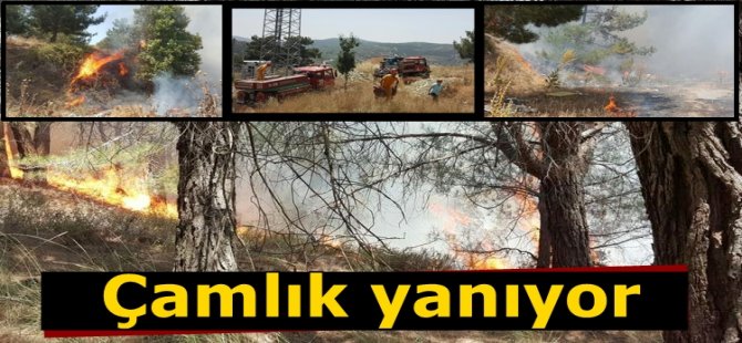 Aman Allah'ım söndürülemiyor !