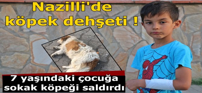 Allah korudu !