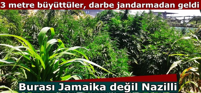Nazilli'de yılın en büyük operasyonu