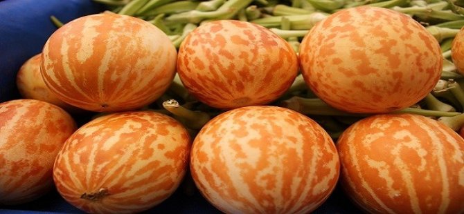 meine cousine tanrı kadını yarattı seyret