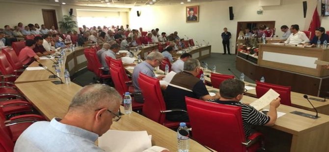 Büyükşehir'den incire yarım milyonluk bütçe