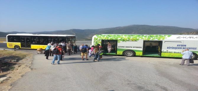 'SARI CİVCİVLER' VATANDAŞI ÇILDIRTTI