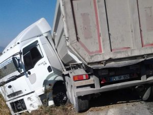 Koçarlı'da TIR Traktörü Biçti