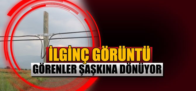 Telefon direği şaşkınlığa sebep oldu