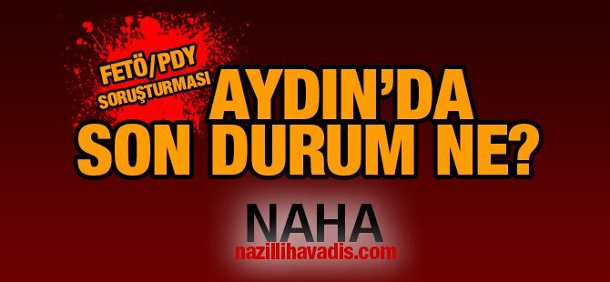 Aydın'da FETÖ Bilançosu