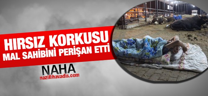 Mal Sahipleri hırsız korkusundan perişan oldu