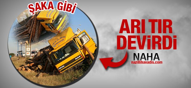 Şaka gibi olay:Arılar kazaya sebep oldu
