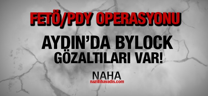 Aydın'da FETÖ/PDY soruşturmasında gözaltı