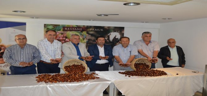 Kestane sezonu başladı