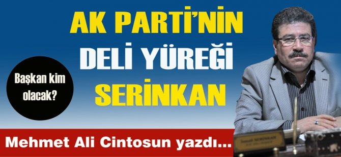 Neden olmasın !